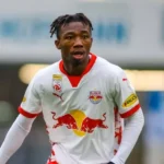 nene fenerbahçe, dorgeles nene fenerbahçe, fenerbahçe, dorgeles nene, fenerbahçe transfer, salzburg, süper lig