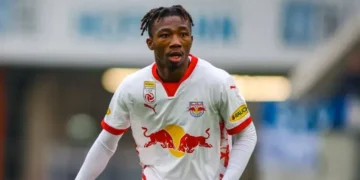 nene fenerbahçe, dorgeles nene fenerbahçe, fenerbahçe, dorgeles nene, fenerbahçe transfer, salzburg, süper lig