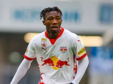 nene fenerbahçe, dorgeles nene fenerbahçe, fenerbahçe, dorgeles nene, fenerbahçe transfer, salzburg, süper lig