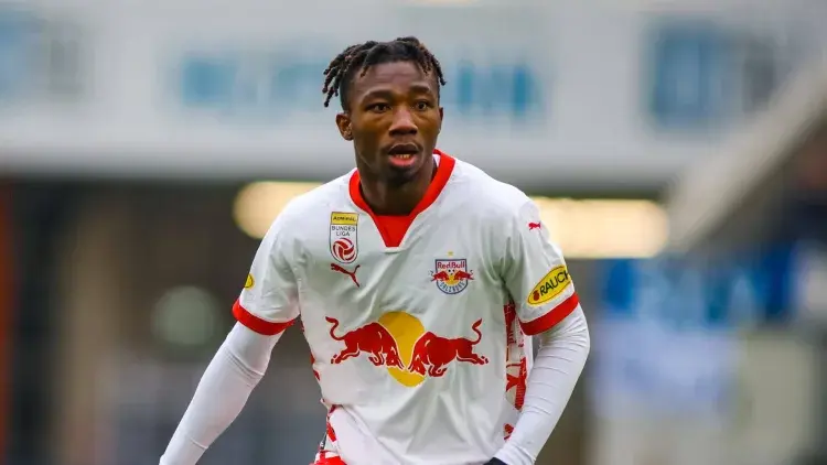 nene fenerbahçe, dorgeles nene fenerbahçe, fenerbahçe, dorgeles nene, fenerbahçe transfer, salzburg, süper lig